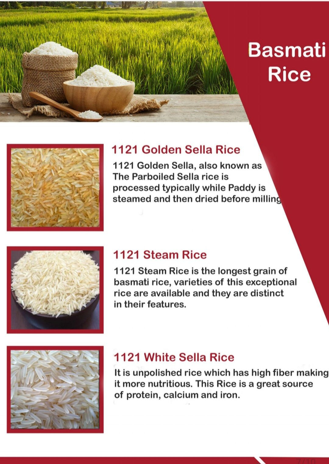 Rice